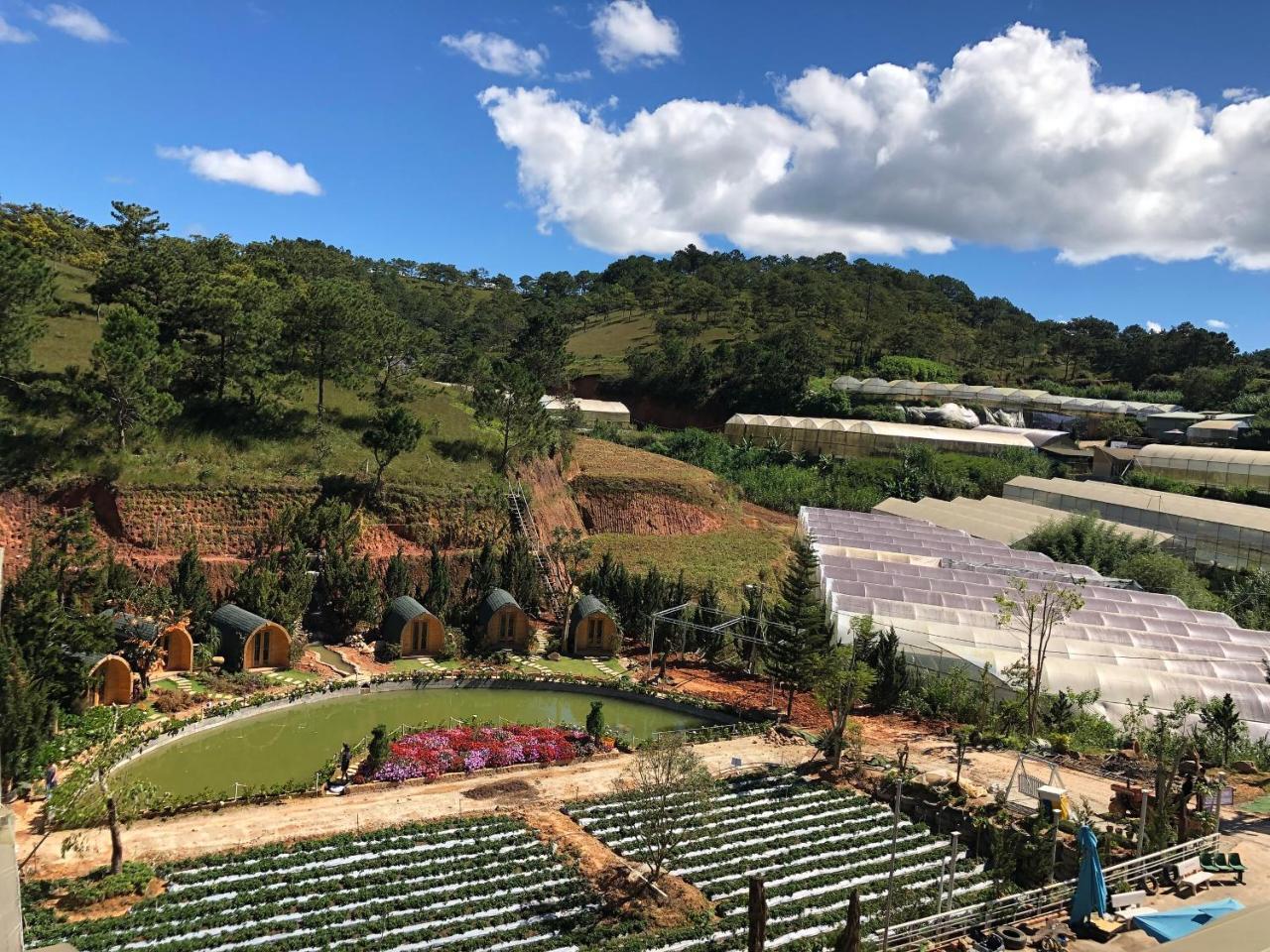 Berry Valley Homestay Da Lat Exterior photo